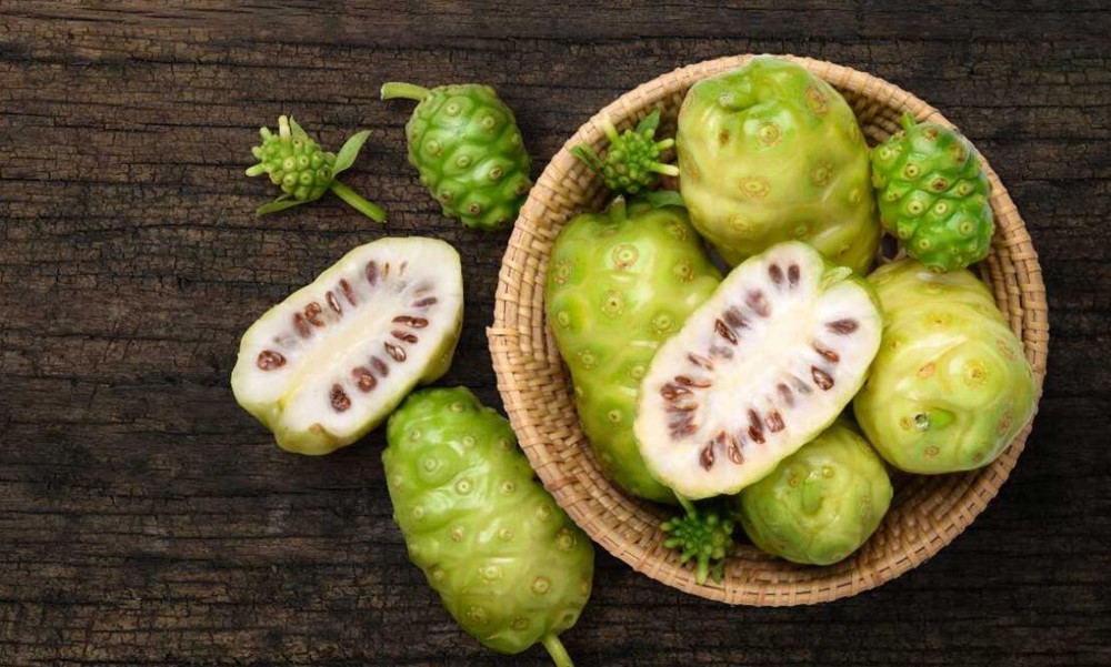 Noni Meyve Özütü Faydaları