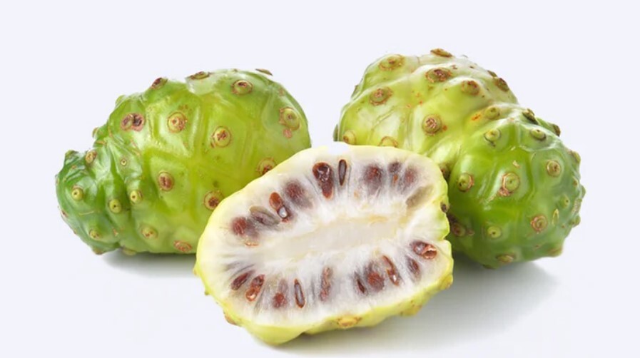 Noni Meyvesinden Gelen Mucize